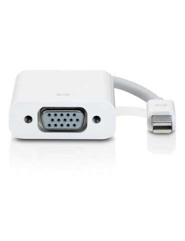 Adaptateur UGREEN | Convertisseur |Mini display port male |10459