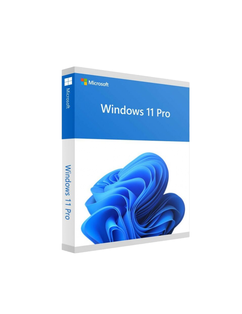 Microsoft Win 11 Pro 64Bit French 1pk DSP OEI DVD