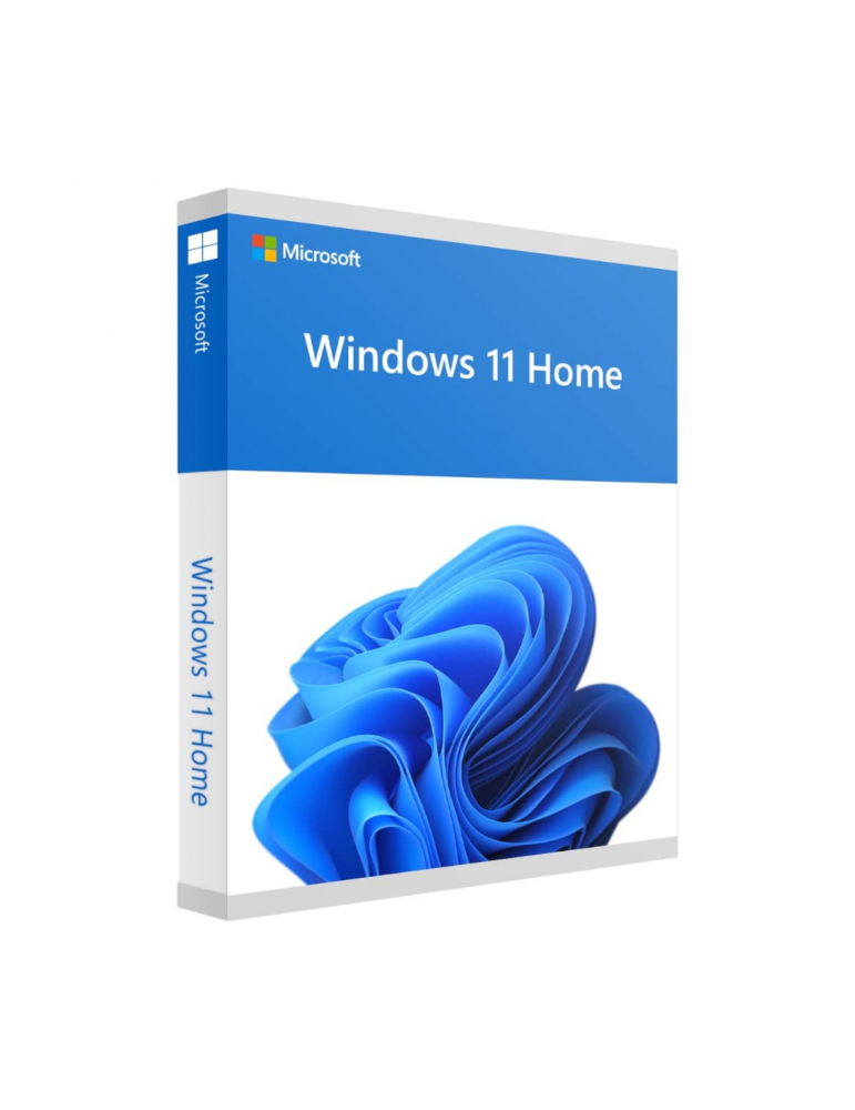 Microsoft Win 11 Home 64Bit French 1pk DSP OEI DVD