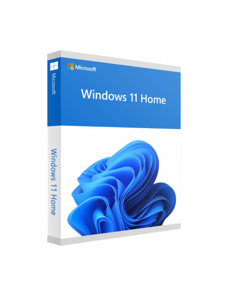 Microsoft Win 11 Home 64Bit French 1pk DSP OEI DVD
